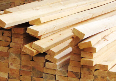 Panduan Kayu Sungkai: Karakteristik, Manfaat, serta Biayanya